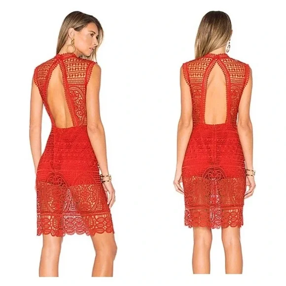 Lovers + Friends Lace Blush Red Crochet Open Back Cocktail Midi Dress Medium - Picture 15 of 15